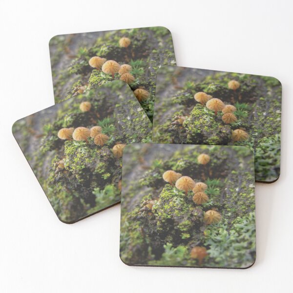 Item preview, Tiny Mushrooms  designed and sold by Glenn-Patrick.