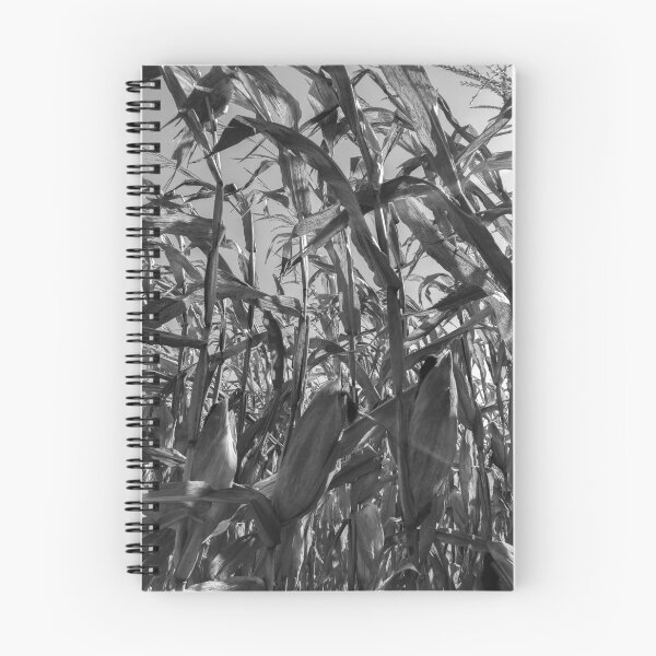 Item preview, Harvest designed and sold by OutBeyond.