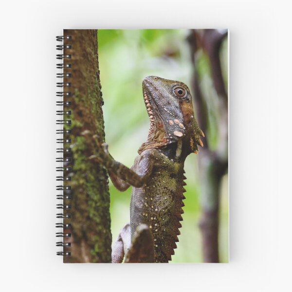 Artikelvorschau, Walddrache entworfen und verkauft von Shae Nechwatal.