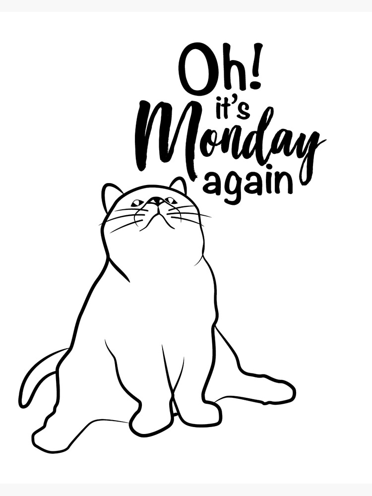 Oh ! It's Monday Again Funny Cat