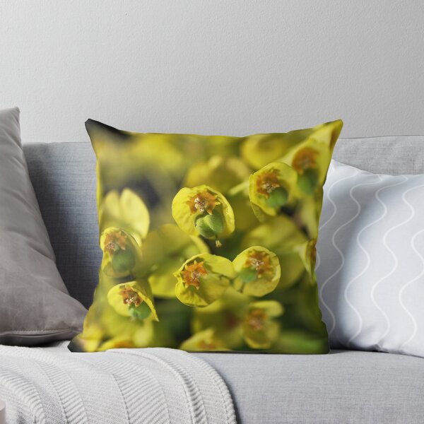 Item preview, Spurge A Little And Glow designed and sold by Joy Watson - Natural Light Photography .