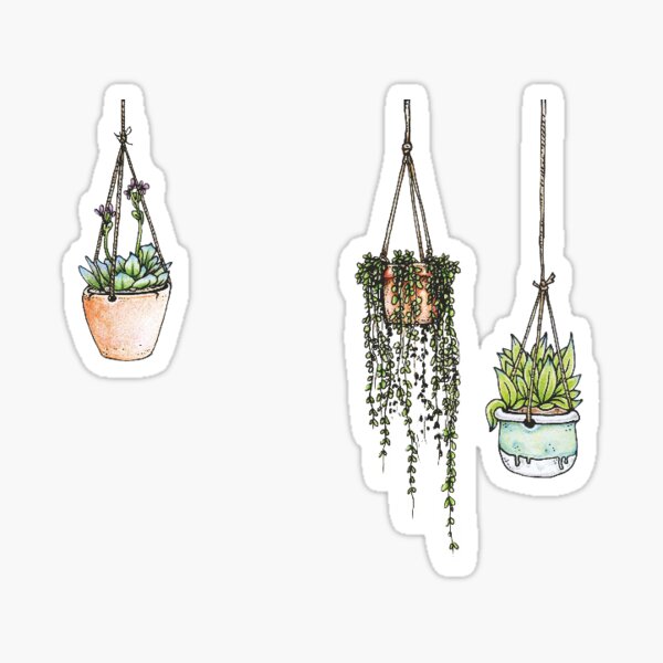 Hanging plants Sticker