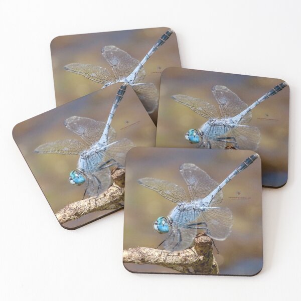 Item preview, Chalky Percher (male) designed and sold by Wanderingeagles.