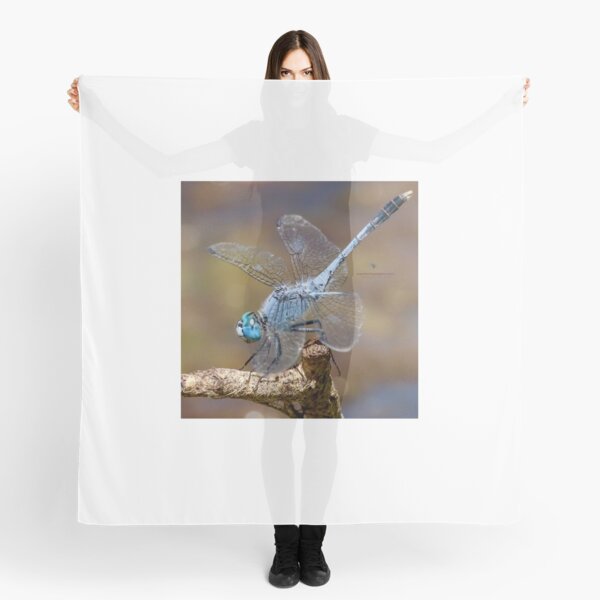 Chalky Percher (male) Scarf