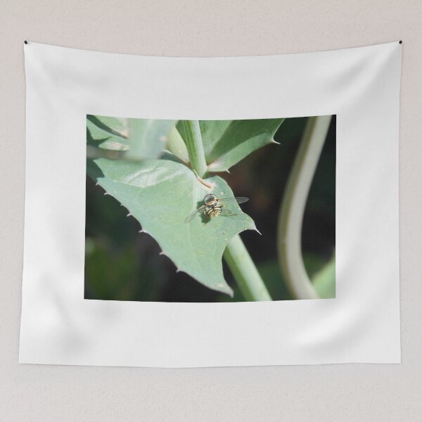 Item preview, Baby Bee designed and sold by Naomi80.