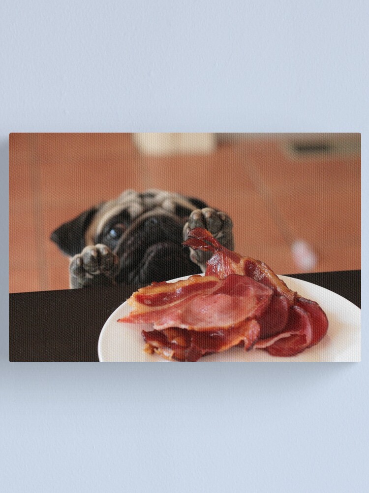 Thumbnail 1 of 3, Canvas Print, Want! Bacon! Stat! designed and sold by 1773.