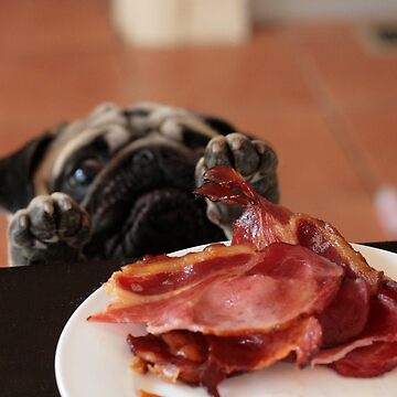 Artwork thumbnail, Want! Bacon! Stat! by 1773