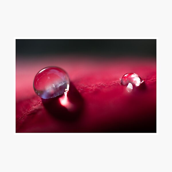 Red Drops Photographic Print
