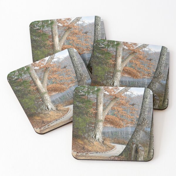 Item preview, Trail Along the Beaver Pond designed and sold by Eileen McVey.