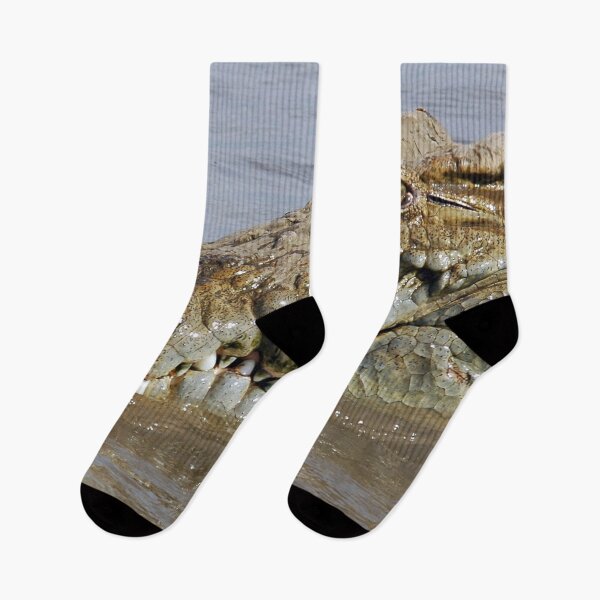Item preview, African Nile Crocodile Face Closeup, Wildlife, Omo River, Africa  designed and sold by worldways.