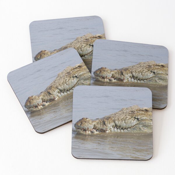 Item preview, African Nile Crocodile Face Closeup, Wildlife, Omo River, Africa  designed and sold by worldways.