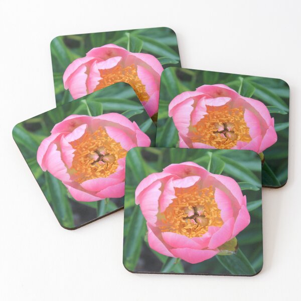 Item preview, Opening Peony designed and sold by Susie Kramer.