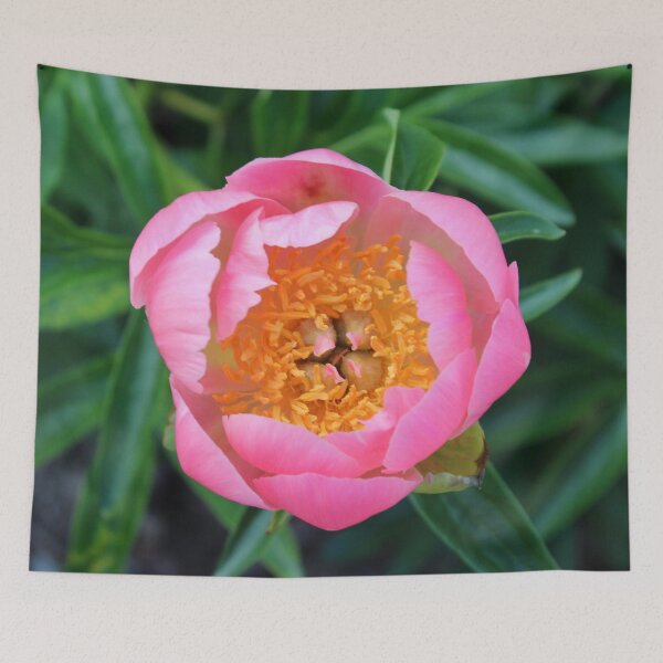 Item preview, Opening Peony designed and sold by Susie Kramer.