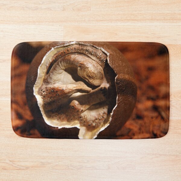 Item preview, Dinosaur egg with embryo designed and sold by Gaspar Avila.