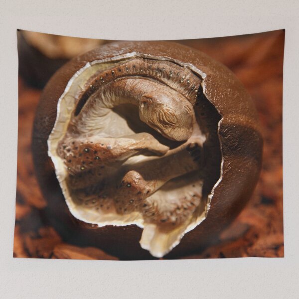 Item preview, Dinosaur egg with embryo designed and sold by Gaspar Avila.