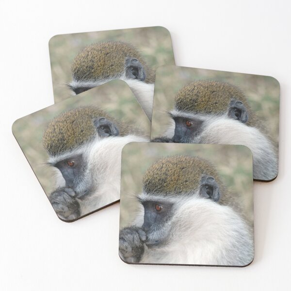 Item preview, Wild Cute Vervet Monkey Portrait designed and sold by worldways.