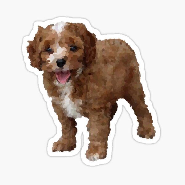 Item preview, Cavapoo  designed and sold by Addie16.