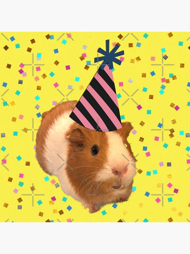 Carte De Vœux Cochon D Inde Anniversaire Par Photographiejem Redbubble