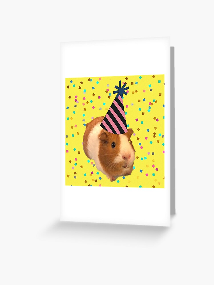 Carte De Vœux Cochon D Inde Anniversaire Par Photographiejem Redbubble