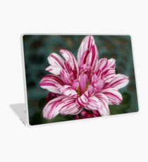 Two Colour Chrysanthemum Laptop Skin