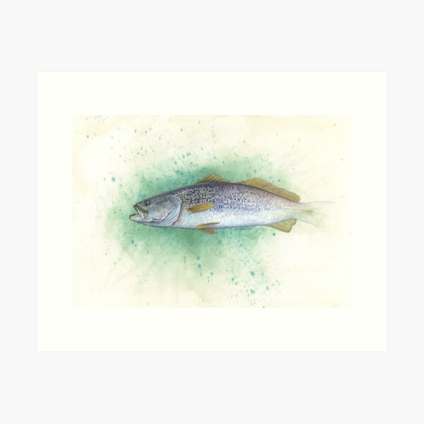 AJS Baby Weakfish Saltwater Swimmer Fishing Lure Art Print