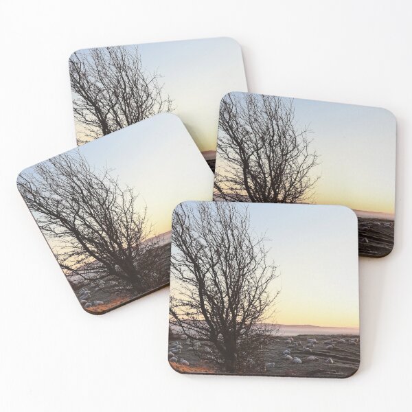 Item preview, Cold Lanarkshire Sheep Sunrise designed and sold by SuzanneRead.