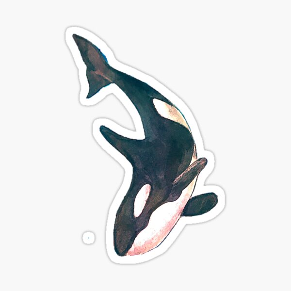 Objet et idée cadeau orque – Mer Aux Trésors