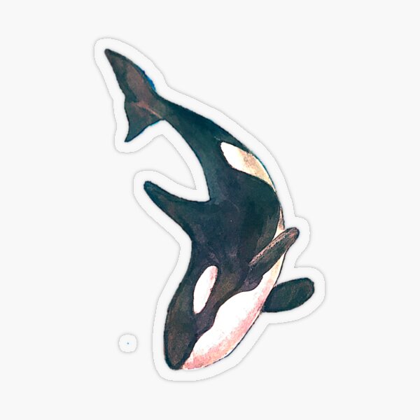 Item preview, Orca Design Sticker designed and sold by emerie26.