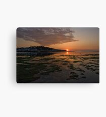Untitled Canvas Print