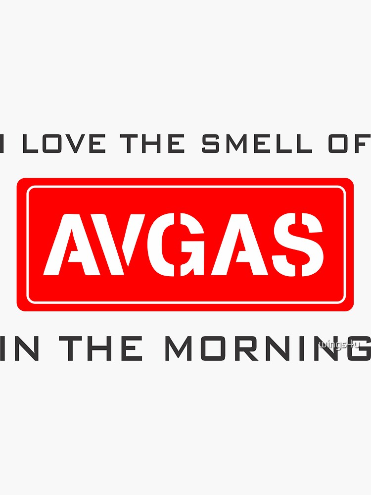 Model 9 - Smell of Avgas by wings4u