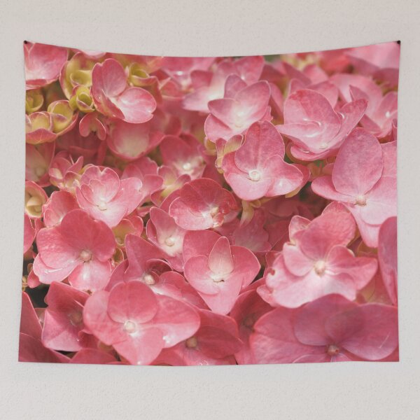 Item preview, Pink hydrangea closeup designed and sold by Gaspar Avila.