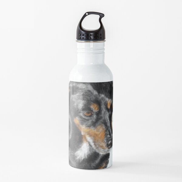 A Very Serious Furry Dachshund Water Bottle