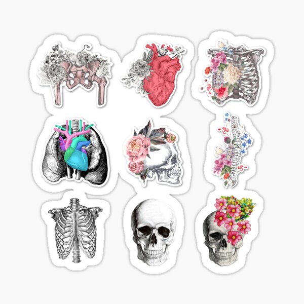 Assorted Anatomical Heart Skull Skeleton Flowers Sticker