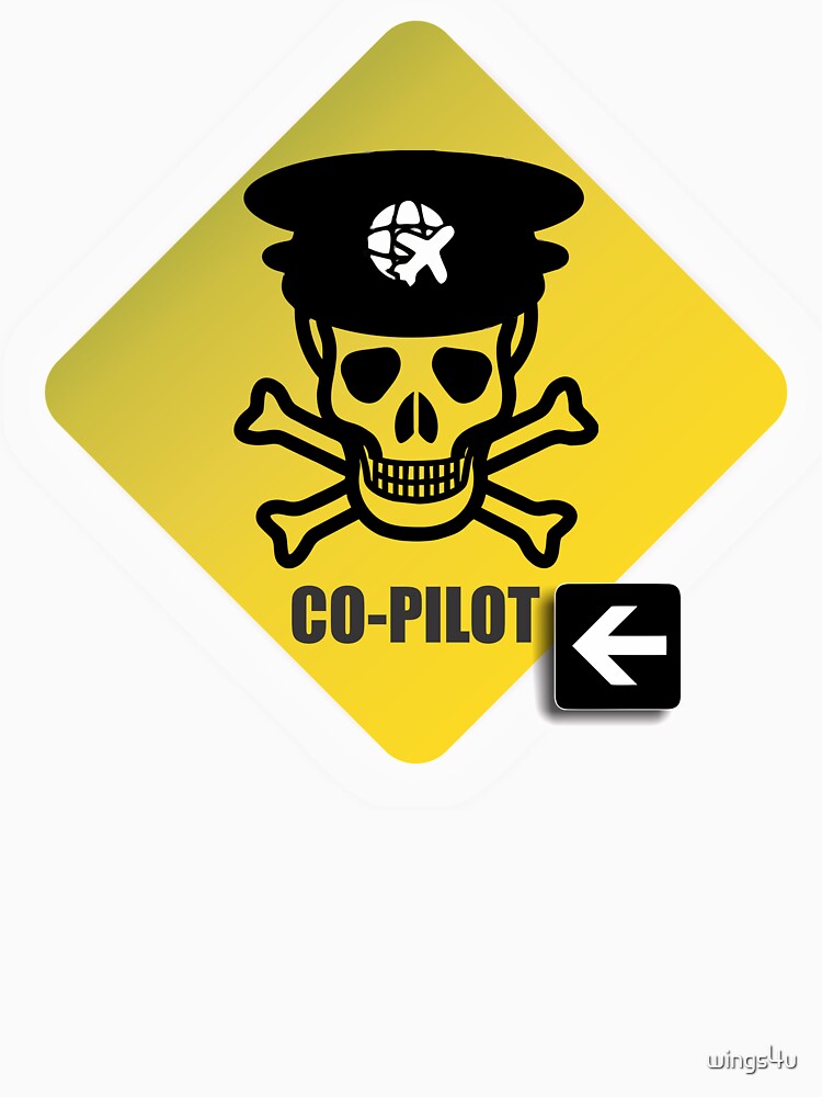Model 23 - Warning Co-Pilot by wings4u