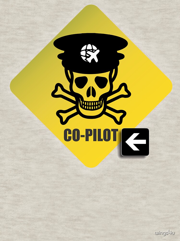 Model 23 - Warning Co-Pilot by wings4u