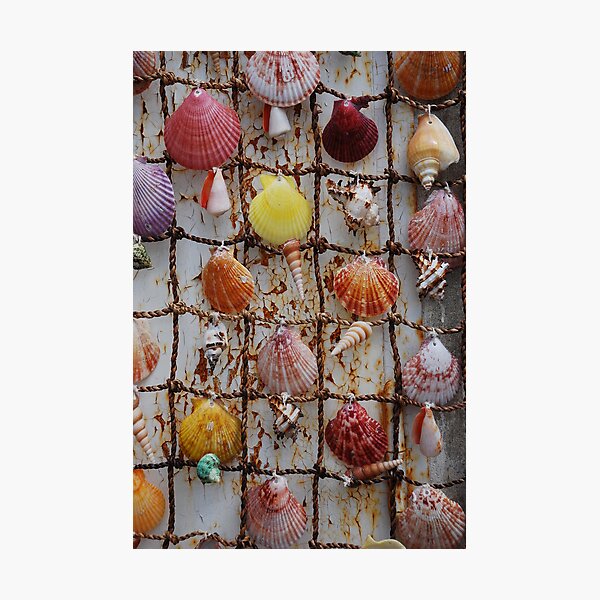 Item preview, Shell art designed and sold by Bente Agerup.