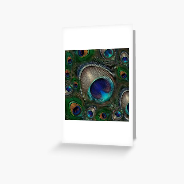 Peacock feather close-up Greeting Card