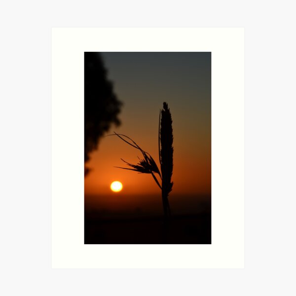 Item preview, Morning awakening designed and sold by Penny Heighes.