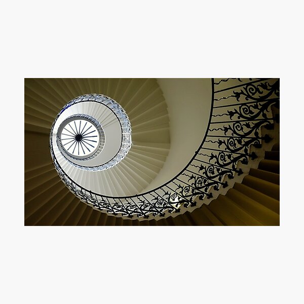 Tulip circle Photographic Print