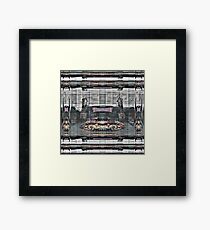 P1410672 _GIMP Framed Print