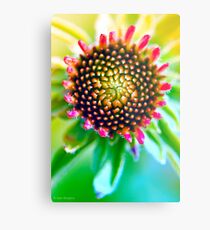 Splendiferous Metal Print