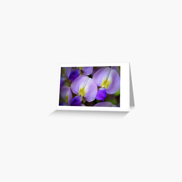 Petal coupling Greeting Card