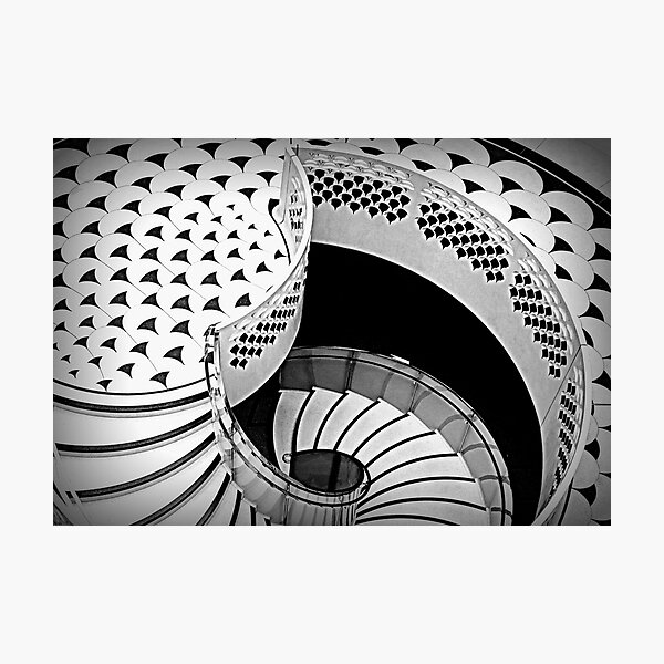 Elegant descent Photographic Print