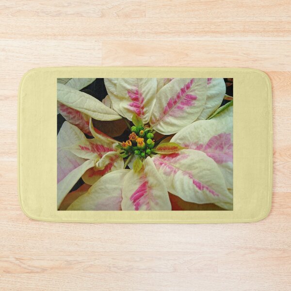 Item preview, Ivory And Pink Pointsettia designed and sold by Debbie Oppermann.
