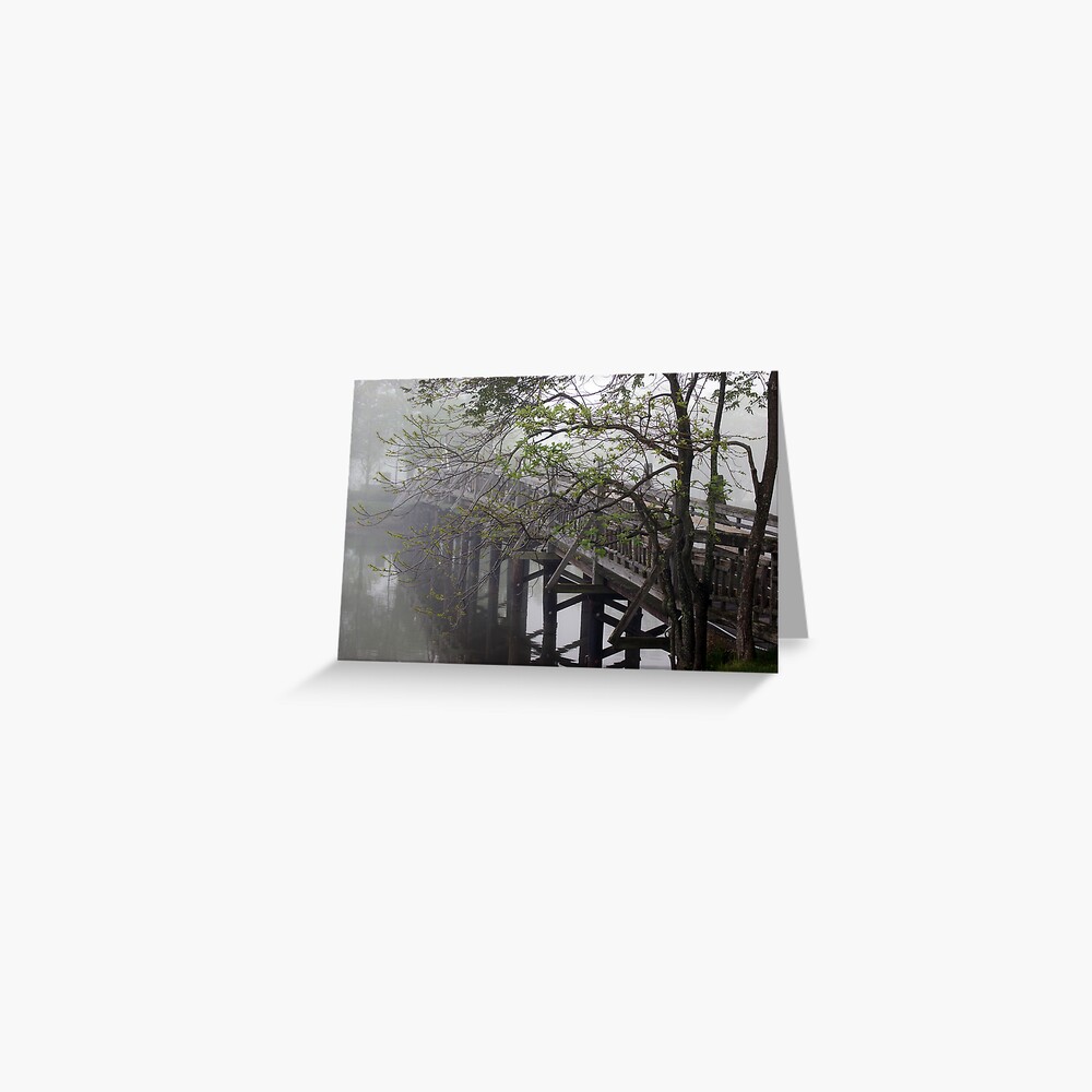 The Foot Bridge Fog in Spring Lake Greeting Card