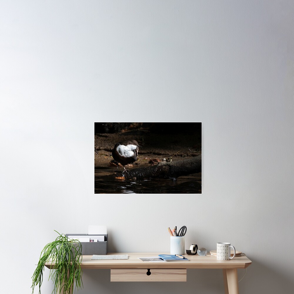 Item preview, Poster designed and sold by NATURELENS.