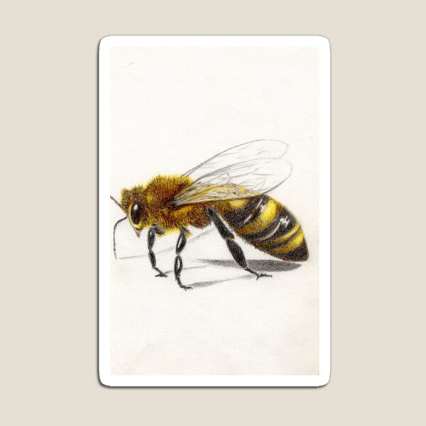''Let Me BEE'' Magnet
