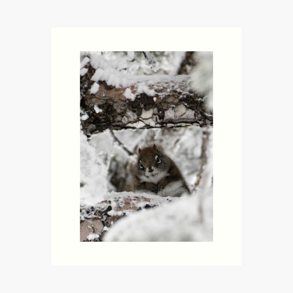 Item preview, Chilly Chipmonk designed and sold by Robert Mullner.