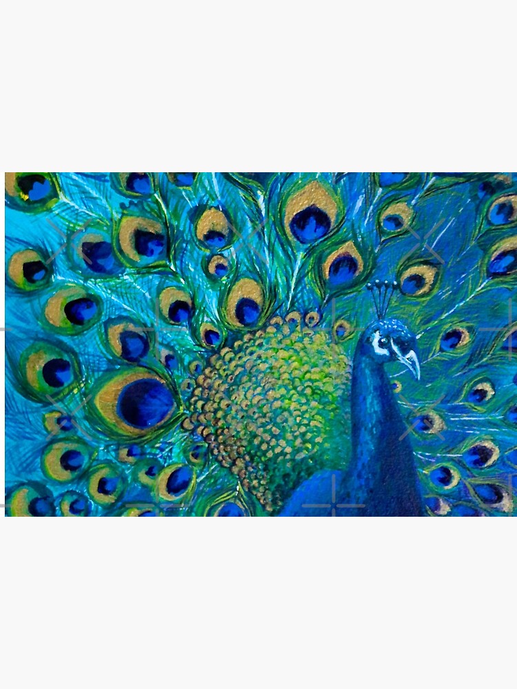 Full Glory Peacock by nicolamorgan