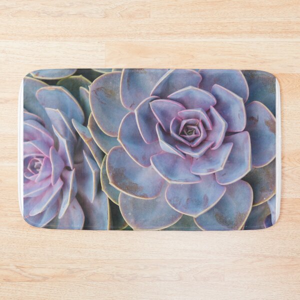 Item preview, Vivid Succulents designed and sold by aprilbernphoto.